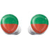 Bulgarian Flag Distressed Galaxy Buds Plus Skin